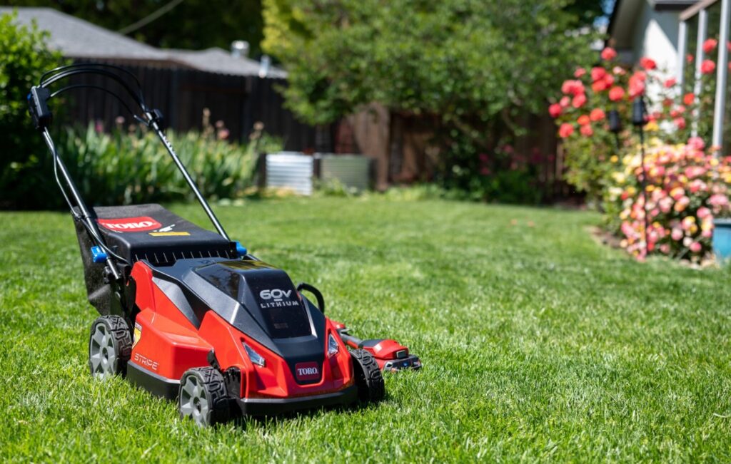 New Toro Stripe Walk Behind Lawn Mowers For Sale Near Bemidji, Minnesota